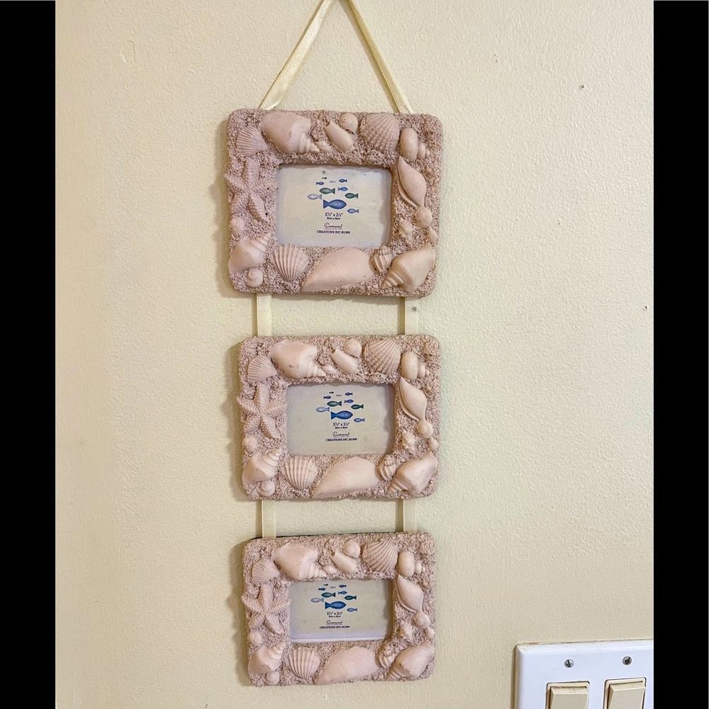 Hanging Shell Frame (3)